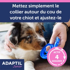 CEVA Collier Adaptil Junior 14 CEVA Collier Adaptil Junior -Vetoavenue adaptil collier 3