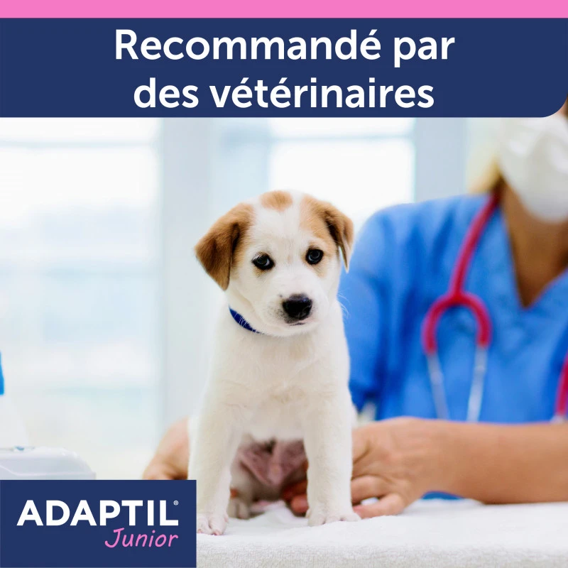 CEVA Collier Adaptil Junior 8 CEVA Collier Adaptil Junior – Image 8