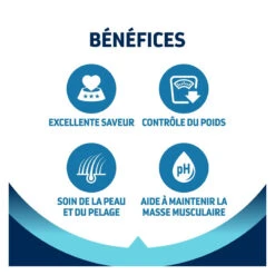 Advance Active Defense Chat Adult Sterilized Dinde -Vetoavenue advance active defense chat adult sterilized dinde 2