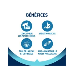 Advance Active Defense Chien Adulte Mini Poulet 9 Advance Active Defense Chien Adulte Mini Poulet -Vetoavenue advance active defense chien adulte mini poulet 2