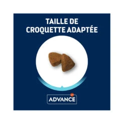 Advance Active Defense Chien Adulte Mini Poulet 10 Advance Active Defense Chien Adulte Mini Poulet -Vetoavenue advance active defense chien adulte mini poulet 3