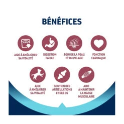 Advance Active Defense Chien Vitality +7 Senior Medium Poul. 9 Advance Active Defense Chien Vitality +7 Senior Medium Poul. -Vetoavenue advance active defense chien vitality 7 senior medium poul 2