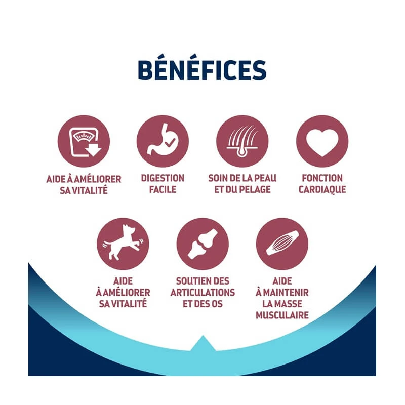 Advance Active Defense Chien Vitality +7 Senior Medium Poul. 3 Advance Active Defense Chien Vitality +7 Senior Medium Poul. – Image 3