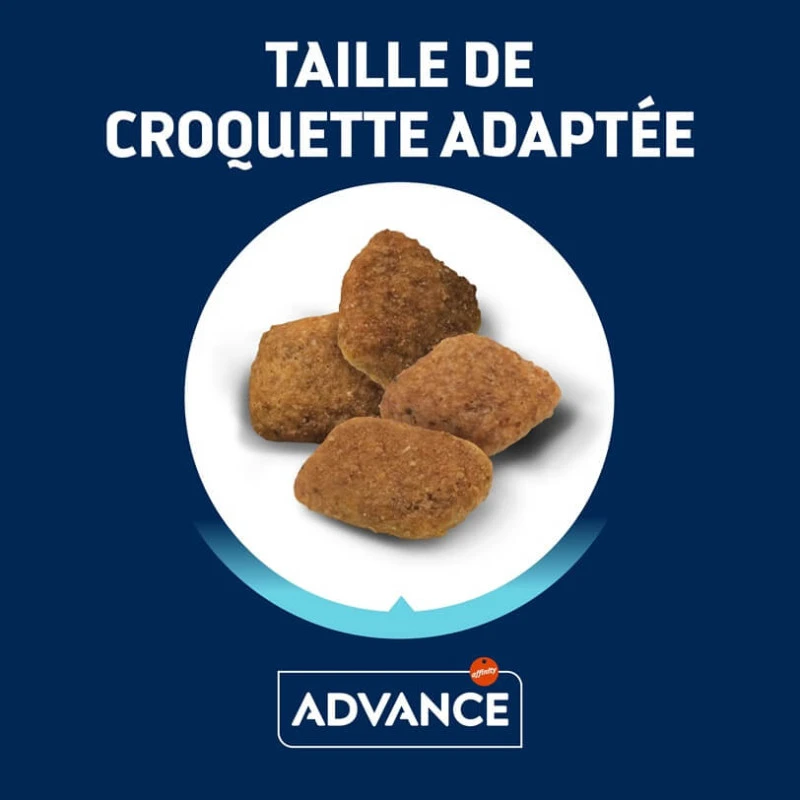 Advance Active Defense Chien Vitality +7 Senior Medium Poul. 4 Advance Active Defense Chien Vitality +7 Senior Medium Poul. – Image 4
