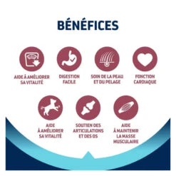 Advance Active Defense Chien Vitality +8 Senior Mini Poulet 9 Advance Active Defense Chien Vitality +8 Senior Mini Poulet -Vetoavenue advance active defense chien vitality 8 senior mini poulet 2