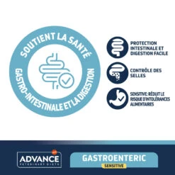 Advance Chat Gastroenteric Sensitive Dinde -Vetoavenue advance chat gastroenteric sensitive dinde 4