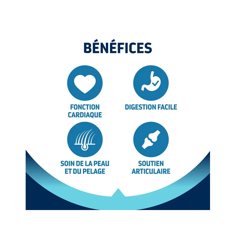 Advance Chien Active Defense Adult Maxi Poulet 3 Advance Chien Active Defense Adult Maxi Poulet – Image 3