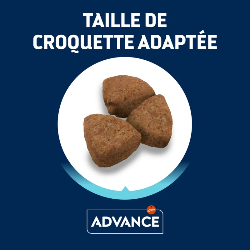 Advance Chien Active Defense Adult Maxi Poulet 4 Advance Chien Active Defense Adult Maxi Poulet – Image 4