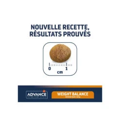 Advance Chien Active Defense Weight Balance Medium Maxi 10 Advance Chien Active Defense Weight Balance Medium Maxi -Vetoavenue advance chien active defense weight balance medium maxi 3