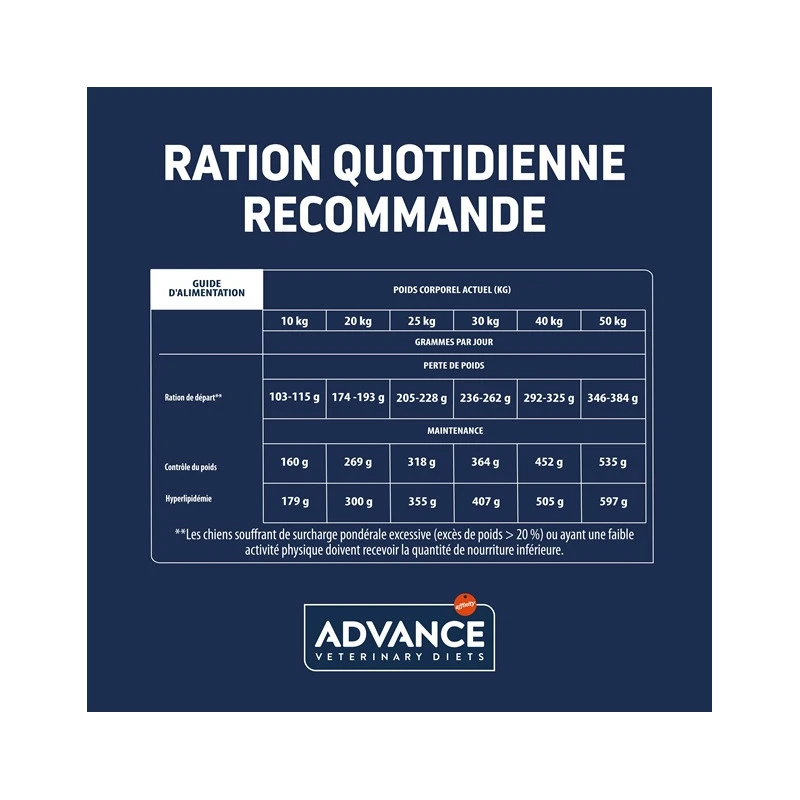 Advance Chien Active Defense Weight Balance Medium Maxi 6 Advance Chien Active Defense Weight Balance Medium Maxi – Image 6