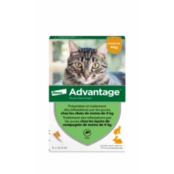 Advantage 40 Chat/Lapin De Moins De 4 Kg