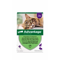 Advantage 80 Chat/Lapin De Plus De 4 Kg