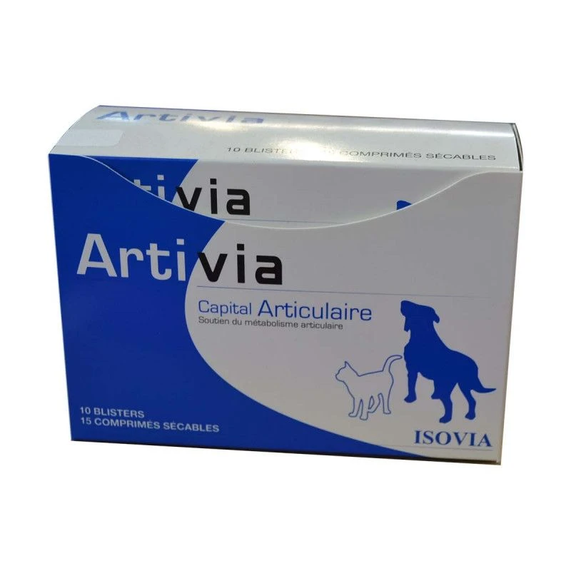 Artivia 1 Artivia