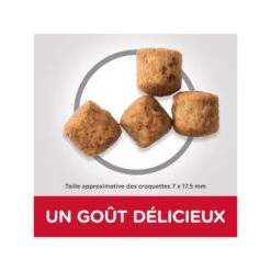 Canine Adult Light Large Poulet Value Pack 5 Canine Adult Light Large Poulet Value Pack -Vetoavenue canine adult light large poulet 2