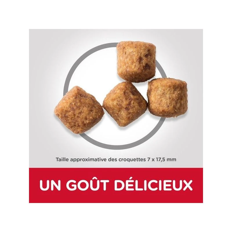 Canine Adult Light Large Poulet Value Pack 3 Canine Adult Light Large Poulet Value Pack – Image 3