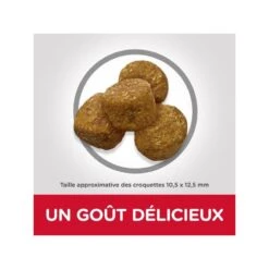 Canine Adult Light Medium Poulet -Vetoavenue canine adult light medium poulet 2