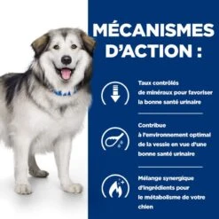 C/d Urinary Multicare+Metabolic Croquettes Pour Chien 12 C/d Urinary Multicare+Metabolic Croquettes Pour Chien -Vetoavenue canine c d multicare metabolic 4
