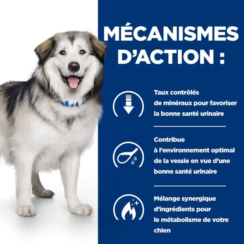 C/d Urinary Multicare+Metabolic Croquettes Pour Chien 5 C/d Urinary Multicare+Metabolic Croquettes Pour Chien – Image 5