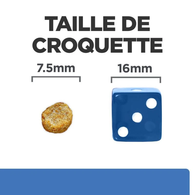 Derm Complete Mini Croquettes Pour Petit Chien 5 Derm Complete Mini Croquettes Pour Petit Chien – Image 5