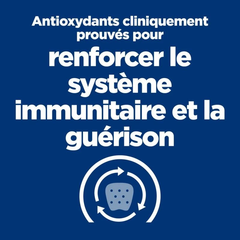 A/D Urgent Care Boîte Pour Chien Et Chat Poulet 2 A/D Urgent Care Boîte Pour Chien Et Chat Poulet – Image 2