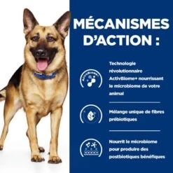 Gastrointestinal Biome Croquettes Pour Chien Au Poulet -Vetoavenue canine gastrointestinal biome poulet 4