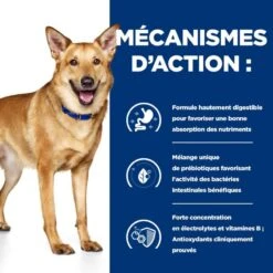 I/D Digestive Croquettes Pour Chien Et Chiot Au Poulet 12 I/D Digestive Croquettes Pour Chien Et Chiot Au Poulet -Vetoavenue canine i d digestive care activ biome 4