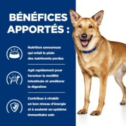 I/D Digestive Care Mini Mijotés Pour Chien Et Chiot Poulet & Légumes 9 I/D Digestive Care Mini Mijotés Pour Chien Et Chiot Poulet & Légumes -Vetoavenue canine i d digestive care mijotes poulet legumes boite 3