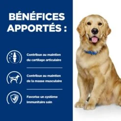 J/D Mobility Croquettes Pour Chien Au Poulet 12 J/D Mobility Croquettes Pour Chien Au Poulet -Vetoavenue canine j d 3