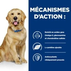 J/D Mobility Croquettes Pour Chien Au Poulet 13 J/D Mobility Croquettes Pour Chien Au Poulet -Vetoavenue canine j d 4