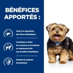 L/D Liver Croquettes Pour Chien -Vetoavenue canine l d 2