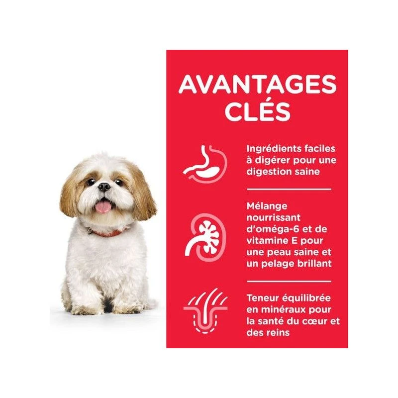 Canine Mature Adult 7+ Small&Mini Poulet 2 Canine Mature Adult 7+ Small&Mini Poulet – Image 2