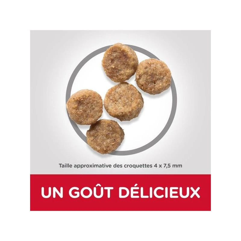 Canine Mature Adult 7+ Small&Mini Poulet 3 Canine Mature Adult 7+ Small&Mini Poulet – Image 3