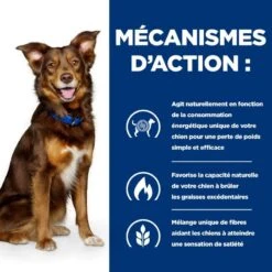 Metabolic Boîte Pour Chien Poulet 15 Metabolic Boîte Pour Chien Poulet -Vetoavenue canine metabolic boite 4