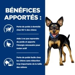 Metabolic Mini Croquettes Pour Petit Chien Au Poulet 12 Metabolic Mini Croquettes Pour Petit Chien Au Poulet -Vetoavenue canine metabolic mini 3