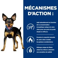 Metabolic Mini Croquettes Pour Petit Chien Au Poulet 13 Metabolic Mini Croquettes Pour Petit Chien Au Poulet -Vetoavenue canine metabolic mini 4
