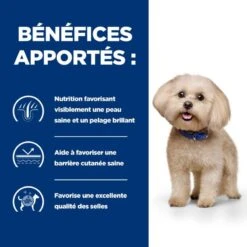 Z/D Food Sensitivities Mini Croquettes Pour Petit Chien -Vetoavenue canine z d food sensitivities activ biome mini 2