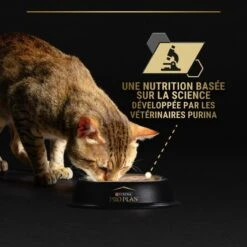 PURINA PRO PLAN Cat Senior 7+ Mousse Thon Boîte -Vetoavenue cat adult 7 boite 9