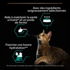 PURINA PRO PLAN Cat Adult Maintenance 13 PURINA PRO PLAN Cat Adult Maintenance -Vetoavenue cat adult boite 5