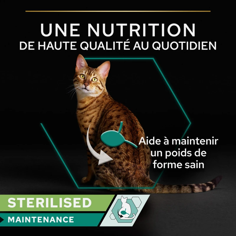 PURINA PRO PLAN Cat Adult Maintenance 7 PURINA PRO PLAN Cat Adult Maintenance – Image 7