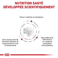 ROYAL CANIN Cat Early Renal -Vetoavenue cat early renal 2