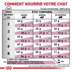 ROYAL CANIN Cat Early Renal -Vetoavenue cat early renal 5