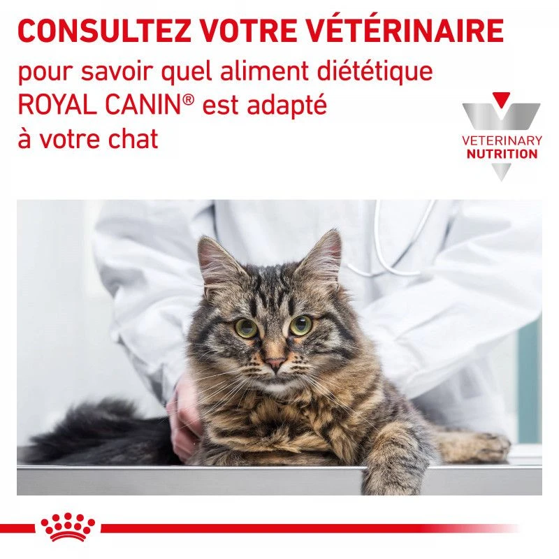 ROYAL CANIN Cat Early Renal Sachet Repas 8 ROYAL CANIN Cat Early Renal Sachet Repas – Image 8