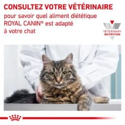 ROYAL CANIN Cat Gastro Intestinal Kitten Boîte 12 ROYAL CANIN Cat Gastro Intestinal Kitten Boîte -Vetoavenue cat gastro intestinal kitten boite 5
