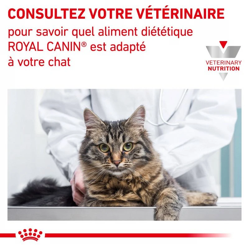 ROYAL CANIN Cat Gastro Intestinal Kitten Boîte 6 ROYAL CANIN Cat Gastro Intestinal Kitten Boîte – Image 6