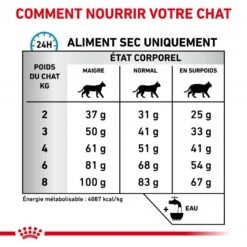 ROYAL CANIN Cat Hypoallergenic -Vetoavenue cat hypoallergenic 5