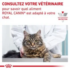 ROYAL CANIN Cat Hypoallergenic -Vetoavenue cat hypoallergenic 9
