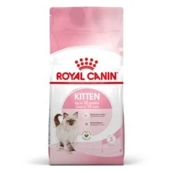 Cat Kitten Royal Canin