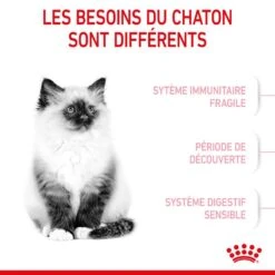 Cat Kitten Royal Canin -Vetoavenue cat kitten royal canin 4
