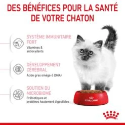 Cat Kitten Royal Canin -Vetoavenue cat kitten royal canin 5
