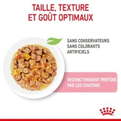 Cat Kitten Royal Canin Emincé En Gelée Sachet Repas 14 Cat Kitten Royal Canin Emincé En Gelée Sachet Repas -Vetoavenue cat kitten royal canin emince en gelee sachet repas 5